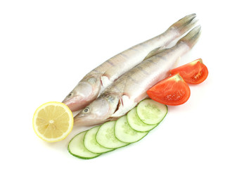 fresh fish isolated on white