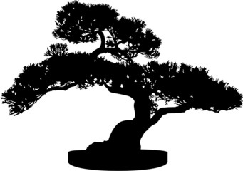 Bonsai Tree Silhouette - obrazy, fototapety, plakaty