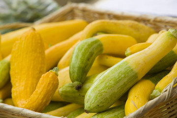 fresh zuchinni for sale at the market