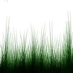 Green grass background with shaded areas in it
