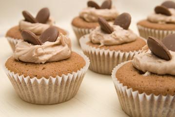 Chocolate butterfly cakes in paper cases