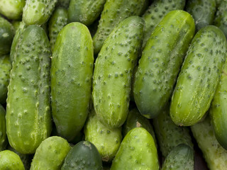 Cucumbers