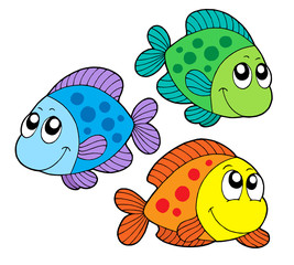 Cute color fishes