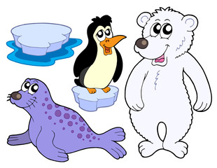 Ice animals collection