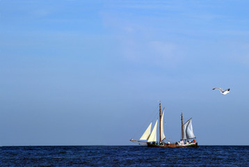 Segelboot und Möwe