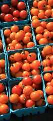 Cherry Tomatoes, in boxes