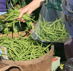 Selecting Fresh Green Beans