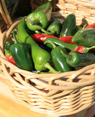 Green Peppers, in a basket at the farmers market