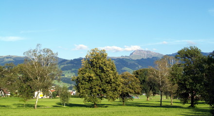 Fototapeta na wymiar suisse ...rurale