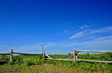 Fototapeta na wymiar country landscape with fence and blue sky