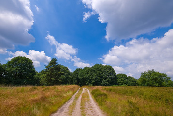 sandy road in a rural environment with trees and blue cloudy sky