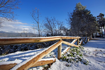 Parque natural nevado (España)