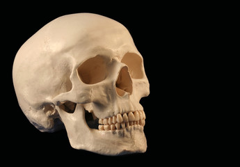 An Angled Facing Human Skull On Black - 9075349