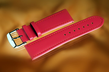 Watch belt