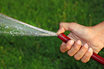 child hand keeping water hose over green grass