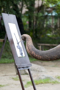 Elephant dessinant