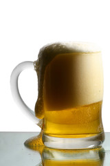 isolated golden beer in glass