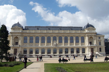 muséum national d’histoire naturelle de Paris © morane