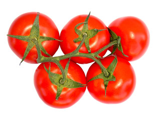 tomates