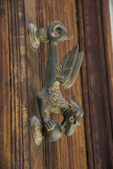 Dragon © Angel Simon