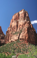 Fototapeta premium Zion Canyon. Zion national park. Utah. USA