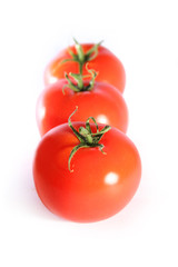 fresh red tomatoes