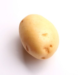 pomme de terre
