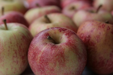 exposition de pommes