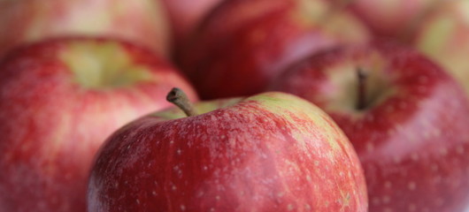 Fototapeta na wymiar étallage de pommes