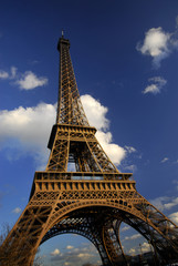 Fototapeta na wymiar The Eiffel Tower, wide-angle view