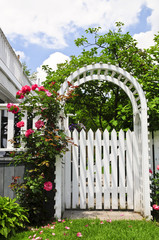 White arbor with red blooming roses in a garden