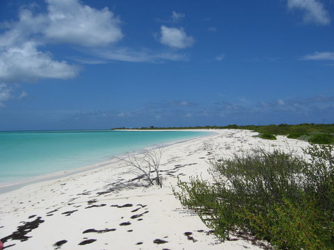 Plage paradisiaque, Anegada, BVI - 2