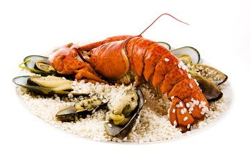 Lobster