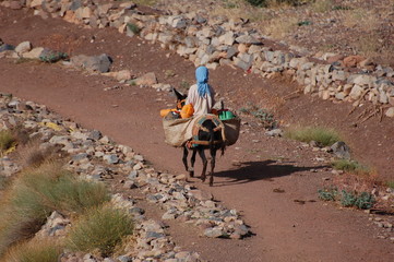 Paysanne sur son âne ; Haut-Atlas ; Maroc