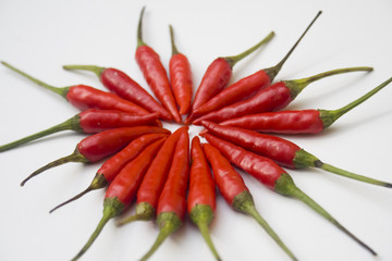 A pile of small red chili peppers
