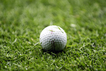 golf ball
