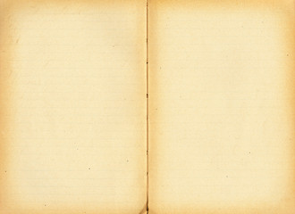 Open antique book with lines, blank for your own text.