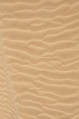 Fototapeta na wymiar Sahara Sand