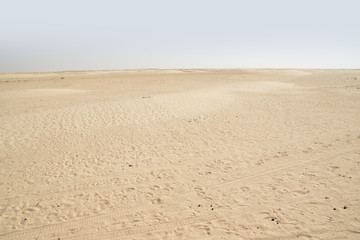 Sandwüste Sahara