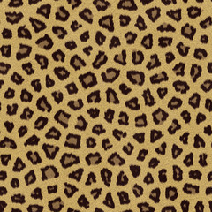 Leopard Texture
