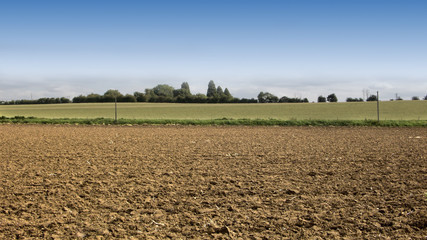 a view of farmland and fields