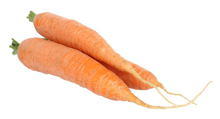 Carrots on a white background.