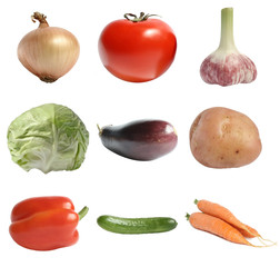 Nine different vegetables on a white background.