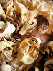 Dried decorative foliage as background