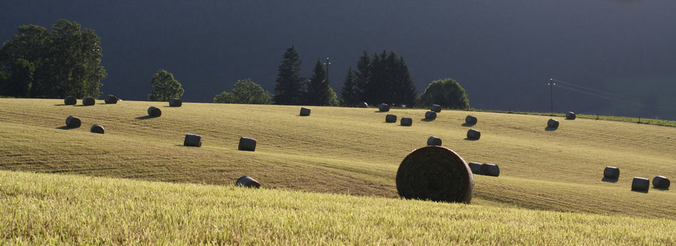 Boules de foin