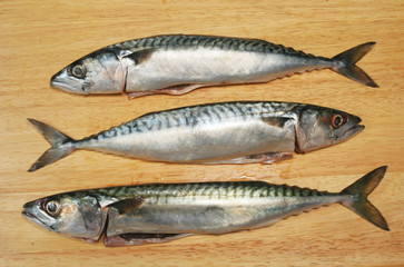 Three Mackerel fish on a wooden board