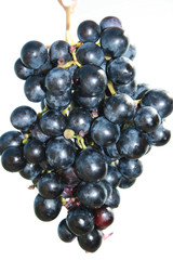 Grapes