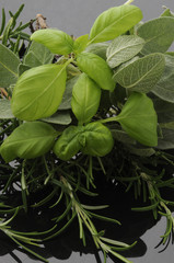 Obraz premium Basilico salvia e rosmarino