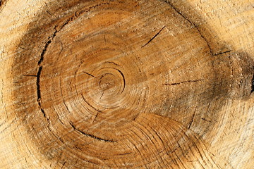 Naklejka premium Pile old wood texture background