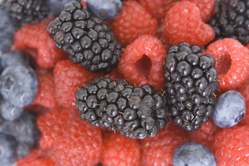 colorful berry background texture